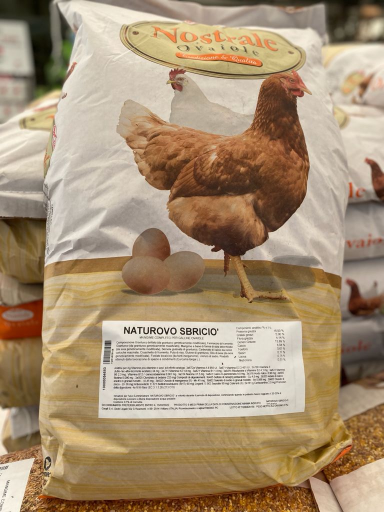 mangimi polli e galline becchime pollame San giuliano milanese