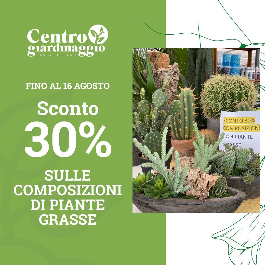 composizione piante grasse San giuliano Milanese