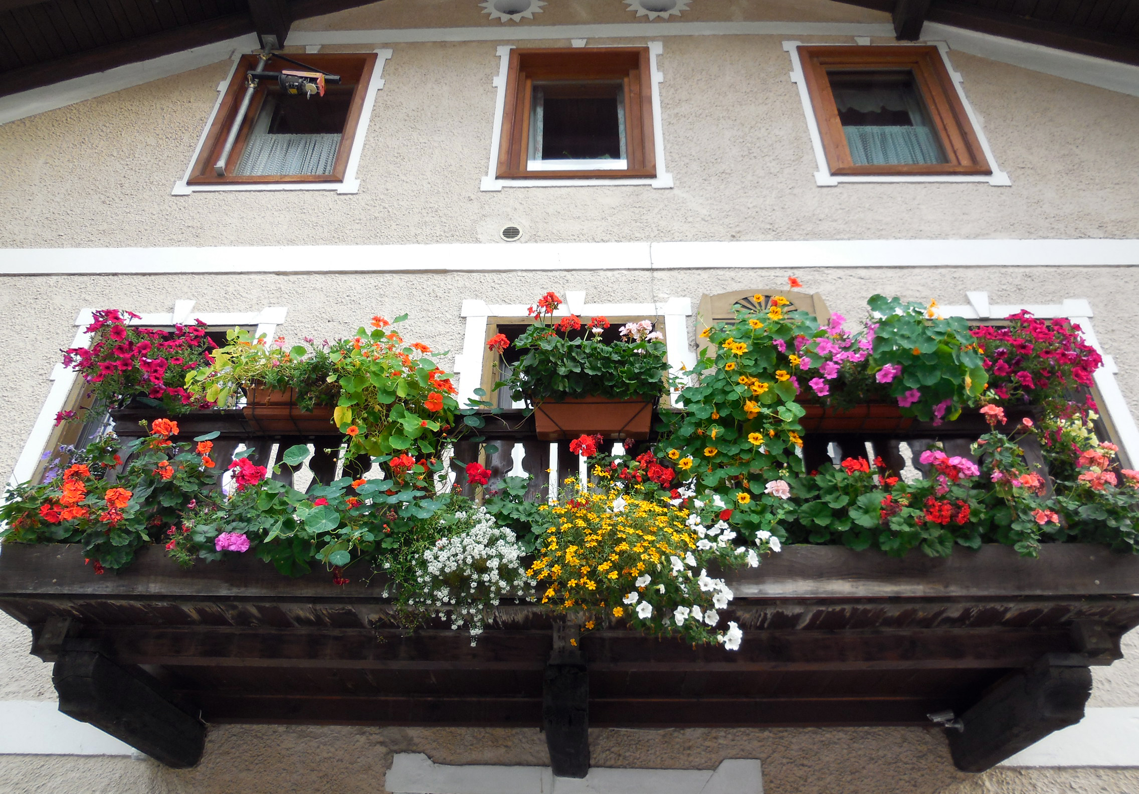 st_pancrazio_balcone2 annaffiare